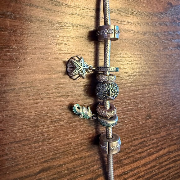 Pandora bracelet with charms! Rose gold and sterling silver. Rare charms! - Picture 4 of 7